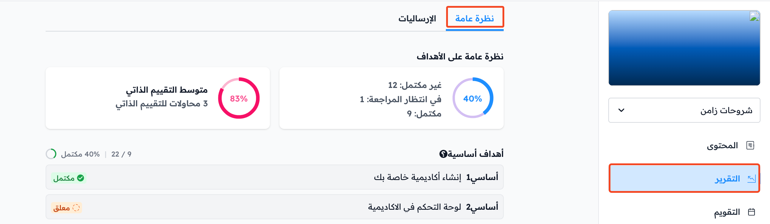 تبويب نظرة عامة في صفحة التقرير