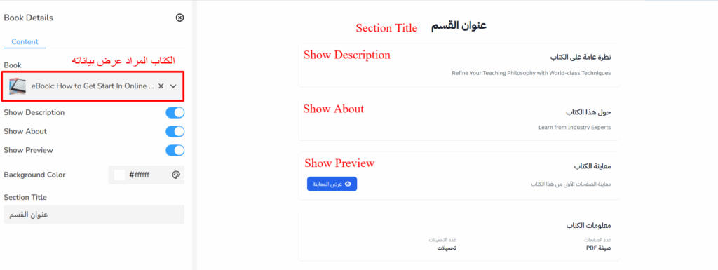 شكل قسم تفاصيل الاستشارة في الصفحة