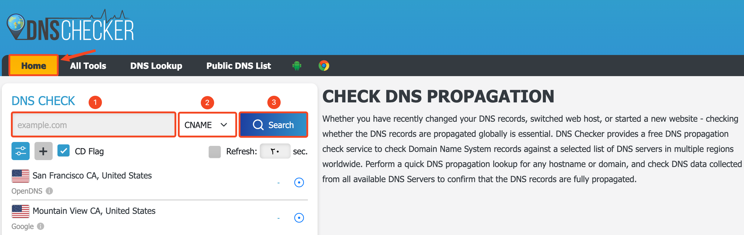 The domain field, the CNAME record type and the Search button on Dnschecker