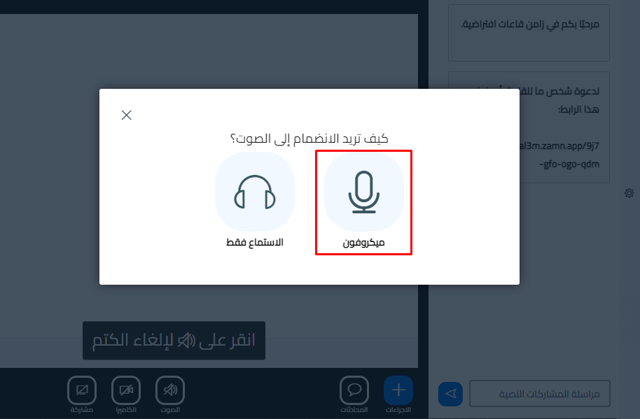 The "How would you like to join the audio?" window and the Microphone option