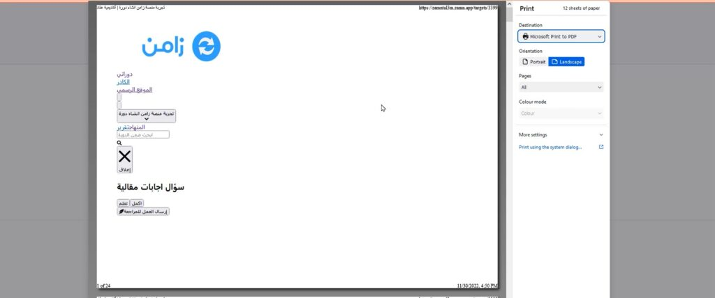 The print preview of the assignment page with its content hidden